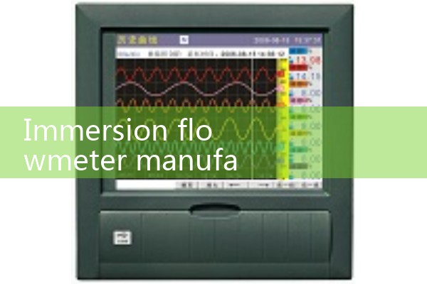 Immersion flowmeter manufacturer